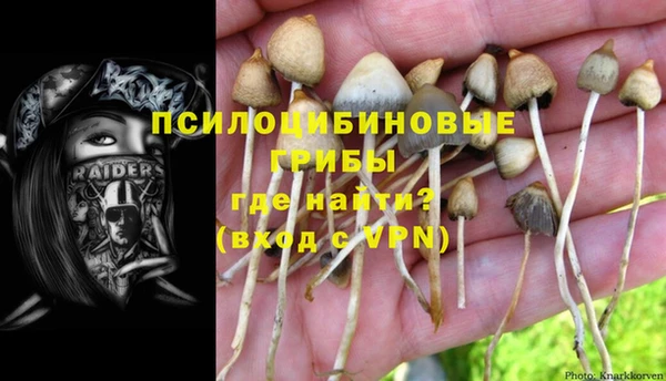 сатива Уссурийск