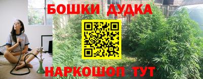 гашик Кимры