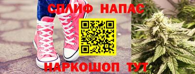 гашик Кимры