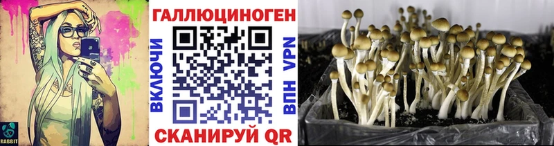 Псилоцибиновые грибы Psilocybe  купить наркотики сайты  hydra как войти  Удомля 