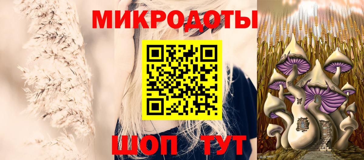 Галлюциногенные грибы Psilocybine cubensis  Вход с VPN  Удомля 