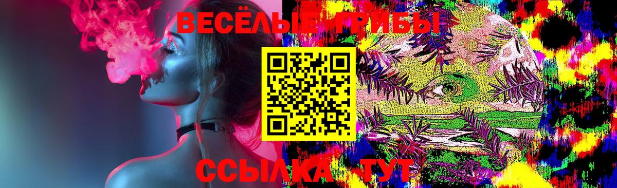 Псилоцибиновые грибы Psilocybe Удомля
