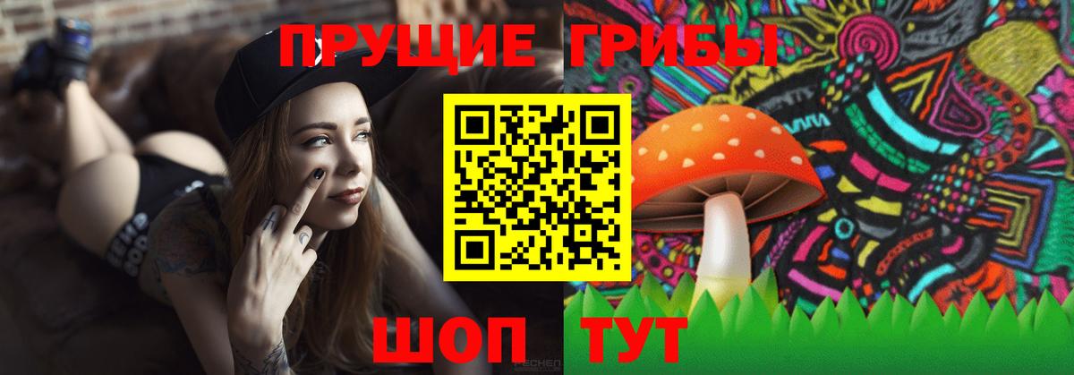 Псилоцибиновые грибы GOLDEN TEACHER Удомля
