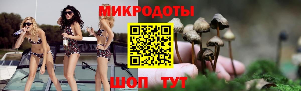 Удомля  Псилоцибиновые грибы мицелий  Вход с VPN  Галлюциногенные грибы мухоморы 